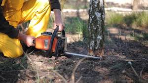 Best Lawn Maintenance Plans  in Mackinaw, IL