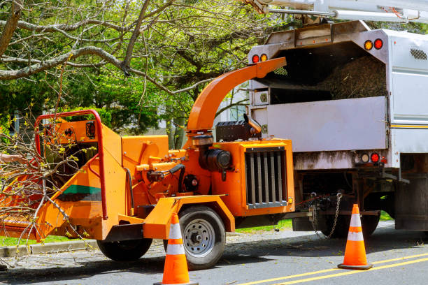 Best Emergency Tree Removal  in Mackinaw, IL