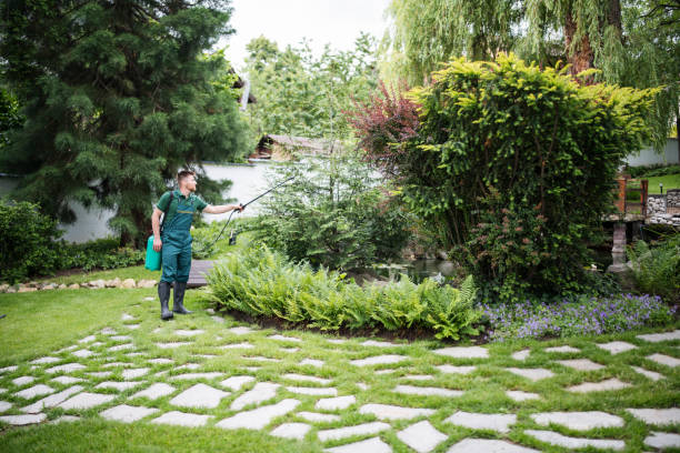Best Tree Risk Assessment  in Mackinaw, IL