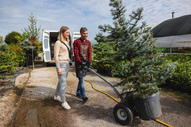 Best Leaf Removal  in Mackinaw, IL