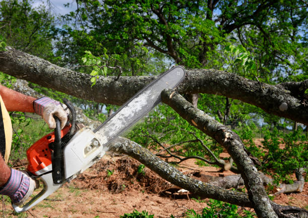 Mulching Services in Mackinaw, IL